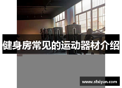 健身房常见的运动器材介绍