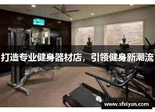 打造专业健身器材店，引领健身新潮流