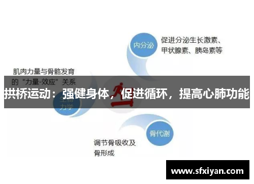 拱桥运动：强健身体，促进循环，提高心肺功能