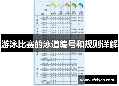 游泳比赛的泳道编号和规则详解