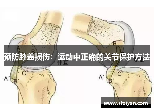 预防膝盖损伤：运动中正确的关节保护方法
